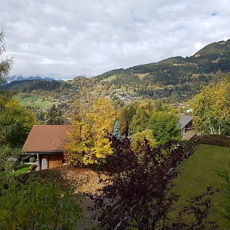 Appartement - Bristol Hotel Villars-sur-Ollon Luaran gambar